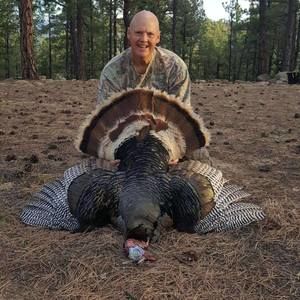 Meet your Posher, Greg